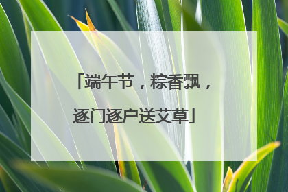 端午节，粽香飘，逐门逐户送艾草