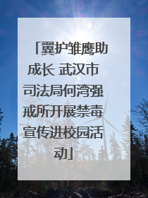 翼护雏鹰助成长 武汉市司法局何湾强戒所开展禁毒宣传进校园活动