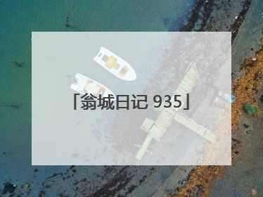 翁城日记 935