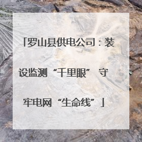 罗山县供电公司：装设监测“千里眼” 守牢电网“生命线”