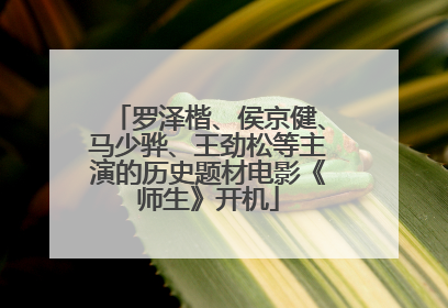 罗泽楷、侯京健、马少骅、王劲松等主演的历史题材电影《师生》开机