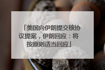 美国向伊朗提交核协议提案，伊朗回应：将按原则适当回应