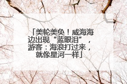 美轮美奂！威海海边出现“蓝眼泪”，游客：海浪打过来，就像星河一样