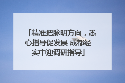 精准把脉明方向，悉心指导促发展 成都经实中迎调研指导