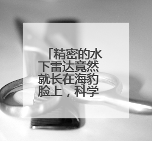 精密的水下雷达竟然就长在海豹脸上，科学家直呼“真香”！