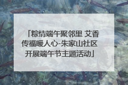 粽情端午聚邻里 艾香传福暖人心-朱家山社区开展端午节主题活动