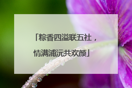 粽香四溢联五社，情满浦沅共欢颜