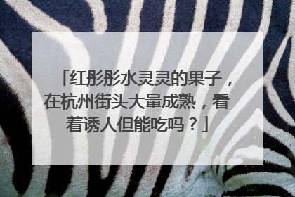 红彤彤水灵灵的果子，在杭州街头大量成熟，看着诱人但能吃吗？