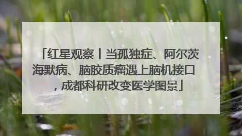 红星观察丨当孤独症、阿尔茨海默病、脑胶质瘤遇上脑机接口，成都科研改变医学图景