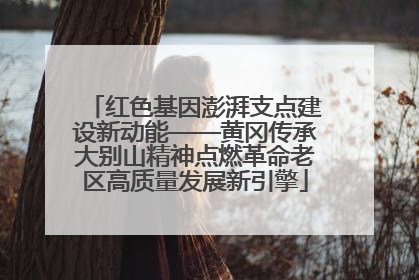 红色基因澎湃支点建设新动能——黄冈传承大别山精神点燃革命老区高质量发展新引擎