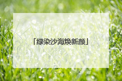 绿染沙海焕新颜