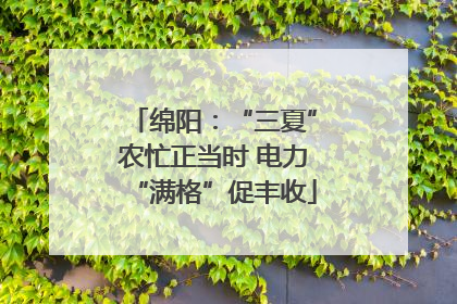 绵阳：“三夏”农忙正当时 电力“满格”促丰收