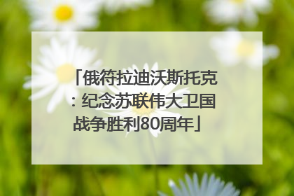 俄符拉迪沃斯托克：纪念苏联伟大卫国战争胜利80周年