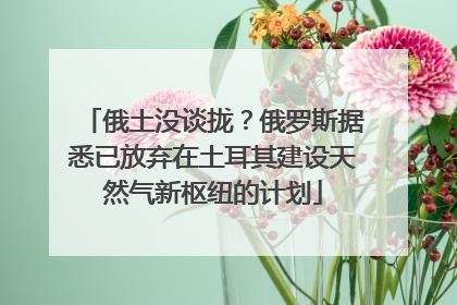 俄土没谈拢？俄罗斯据悉已放弃在土耳其建设天然气新枢纽的计划