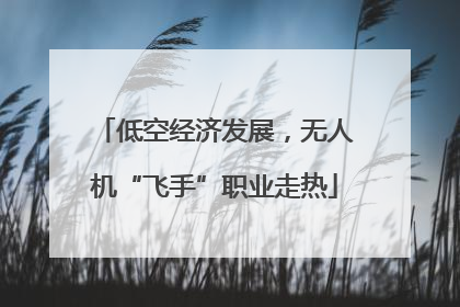 低空经济发展，无人机“飞手”职业走热