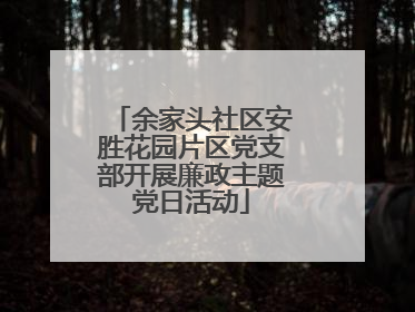 余家头社区安胜花园片区党支部开展廉政主题党日活动