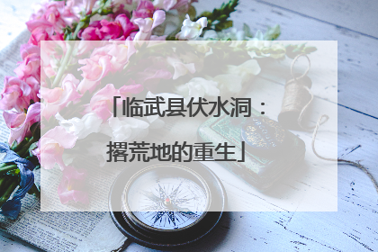 临武县伏水洞：撂荒地的重生