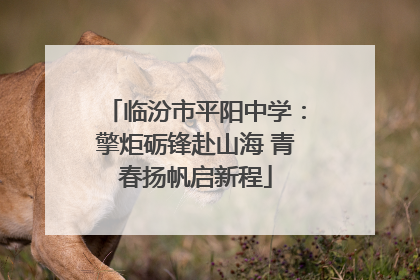 临汾市平阳中学：擎炬砺锋赴山海 青春扬帆启新程