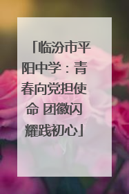 临汾市平阳中学：青春向党担使命 团徽闪耀践初心