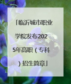 临沂城市职业学院发布2025年高职（专科）招生简章