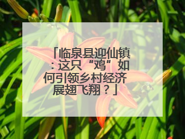 临泉县迎仙镇：这只“鸡”如何引领乡村经济展翅飞翔？