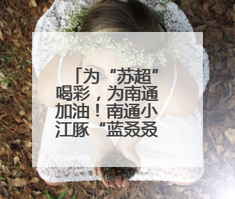 为“苏超”喝彩，为南通加油！南通小江豚“蓝叒叒”申请出战