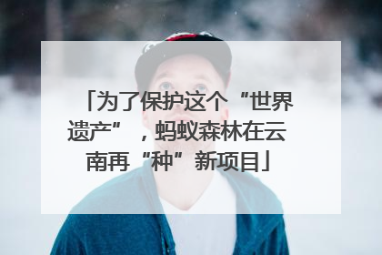 为了保护这个“世界遗产”，蚂蚁森林在云南再“种”新项目