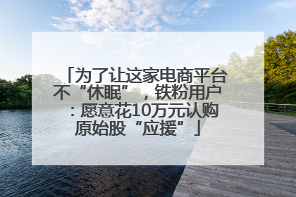 为了让这家电商平台不“休眠”，铁粉用户：愿意花10万元认购原始股“应援”