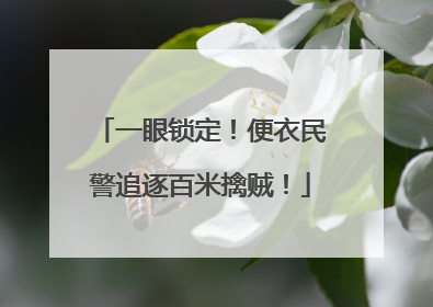 一眼锁定！便衣民警追逐百米擒贼！