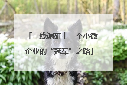 一线调研丨一个小微企业的“冠军”之路