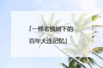 一棵老槐树下的百年大连记忆