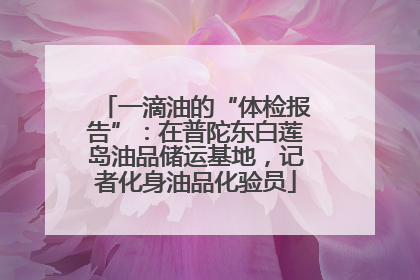 一滴油的“体检报告”：在普陀东白莲岛油品储运基地，记者化身油品化验员