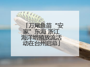 万尾鱼苗“安家”东海 浙江海洋增殖放流活动在台州启幕
