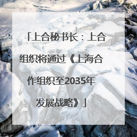 上合秘书长：上合组织将通过《上海合作组织至2035年发展战略》