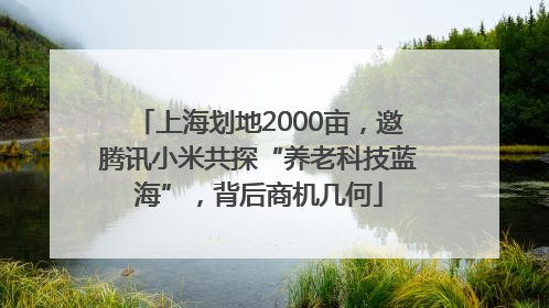 上海划地2000亩，邀腾讯小米共探“养老科技蓝海”，背后商机几何