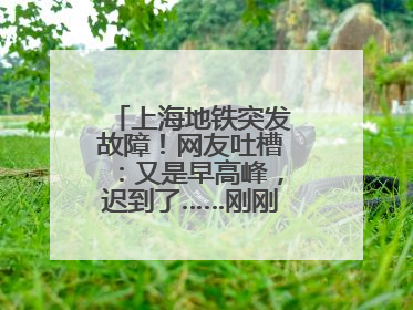 上海地铁突发故障！网友吐槽：又是早高峰，迟到了……刚刚，官方致歉→
