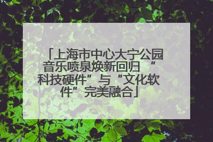 上海市中心大宁公园音乐喷泉焕新回归 “科技硬件”与“文化软件”完美融合