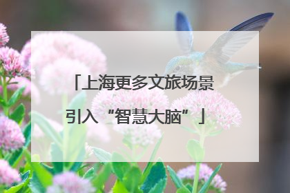 上海更多文旅场景引入“智慧大脑”
