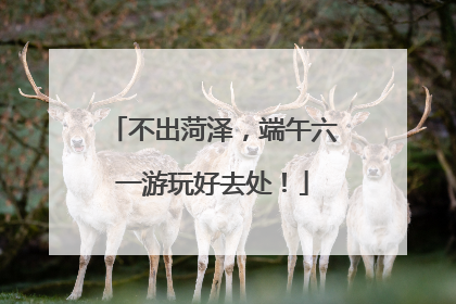 不出菏泽，端午六一游玩好去处！
