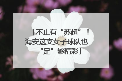 不止有“苏超”！海安这支女子球队也“足”够精彩