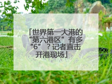 世界第一大港的“第六港区”有多“6”？记者直击开港现场