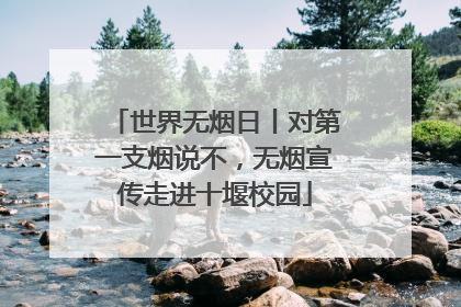 世界无烟日丨对第一支烟说不，无烟宣传走进十堰校园