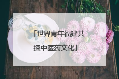 世界青年福建共探中医药文化