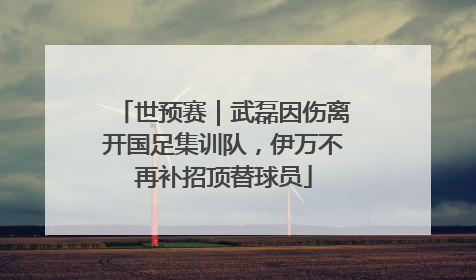 世预赛｜武磊因伤离开国足集训队，伊万不再补招顶替球员