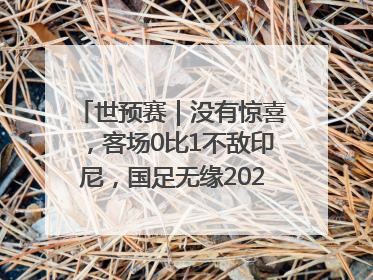 世预赛｜没有惊喜，客场0比1不敌印尼，国足无缘2026年世界杯