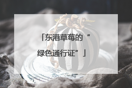 东港草莓的“绿色通行证”