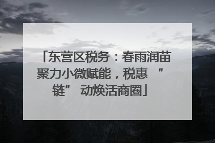 东营区税务：春雨润苗聚力小微赋能，税惠 “链” 动焕活商圈