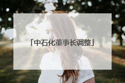 中石化董事长调整