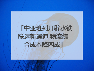 中亚班列开辟水铁联运新通道 物流综合成本降四成