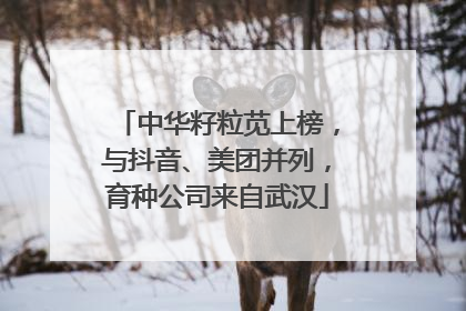 中华籽粒苋上榜，与抖音、美团并列，育种公司来自武汉